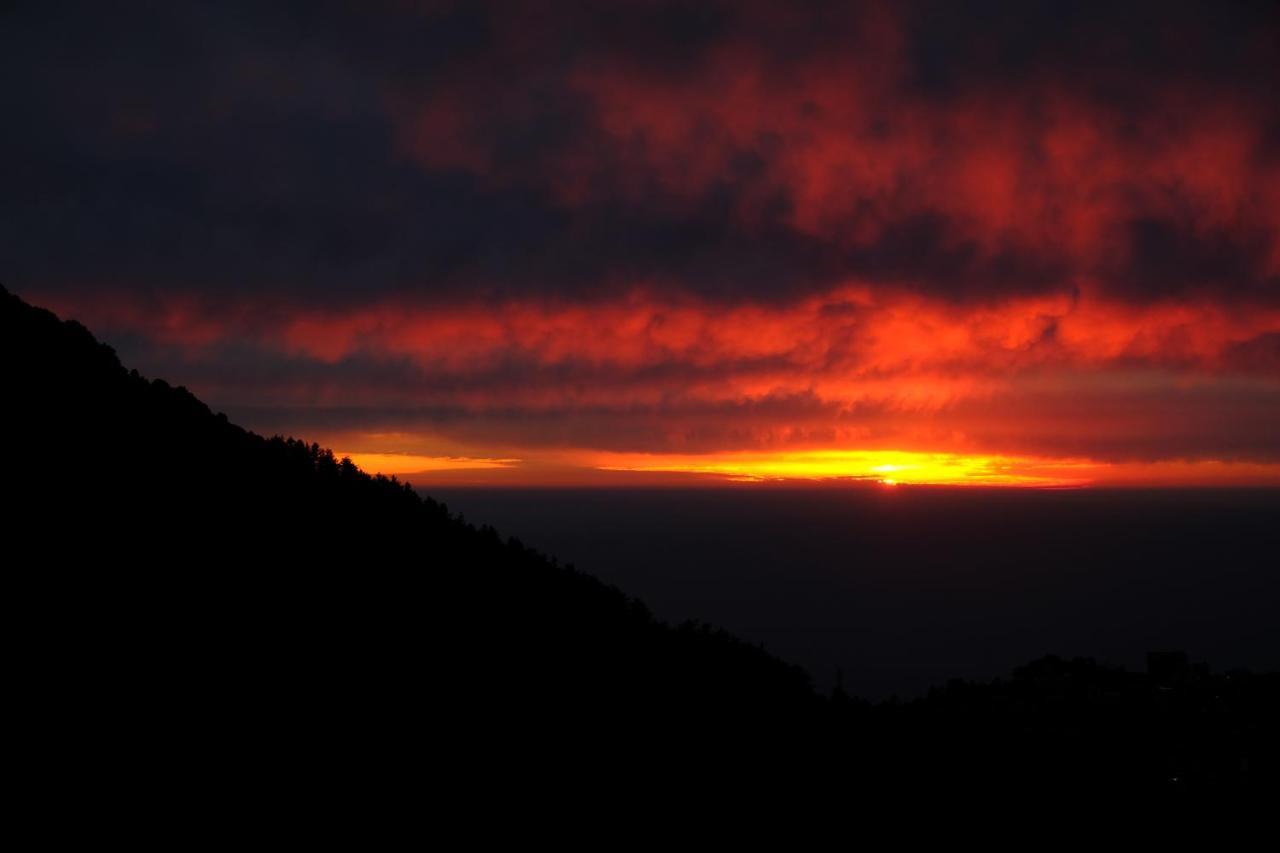 Mitra Mcleodganj Hostel McLeod Ganj Εξωτερικό φωτογραφία