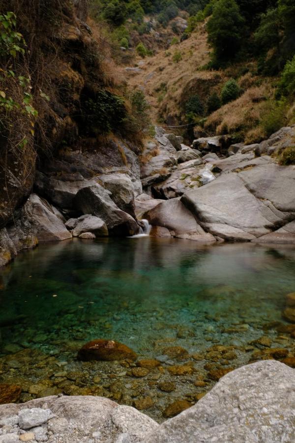 Mitra Mcleodganj Hostel McLeod Ganj Εξωτερικό φωτογραφία